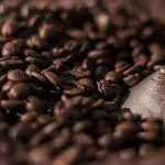 فرآوری قهوه سبز چیست؟ فرآوری خشک چگونه انجام می شود؟