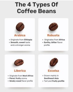 گونه های مختلف دان قهوه